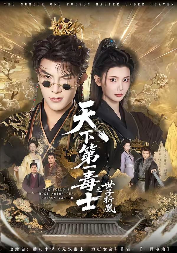 天下第一毒士之世子折凰——电影防火墙